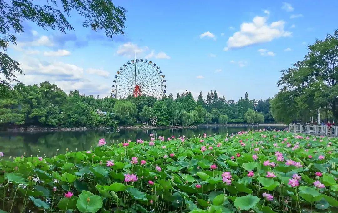 英語(yǔ)嘉賓怎么說(shuō)_東庵森林公園游玩攻略_tcl怎么安裝騰訊視頻tv版