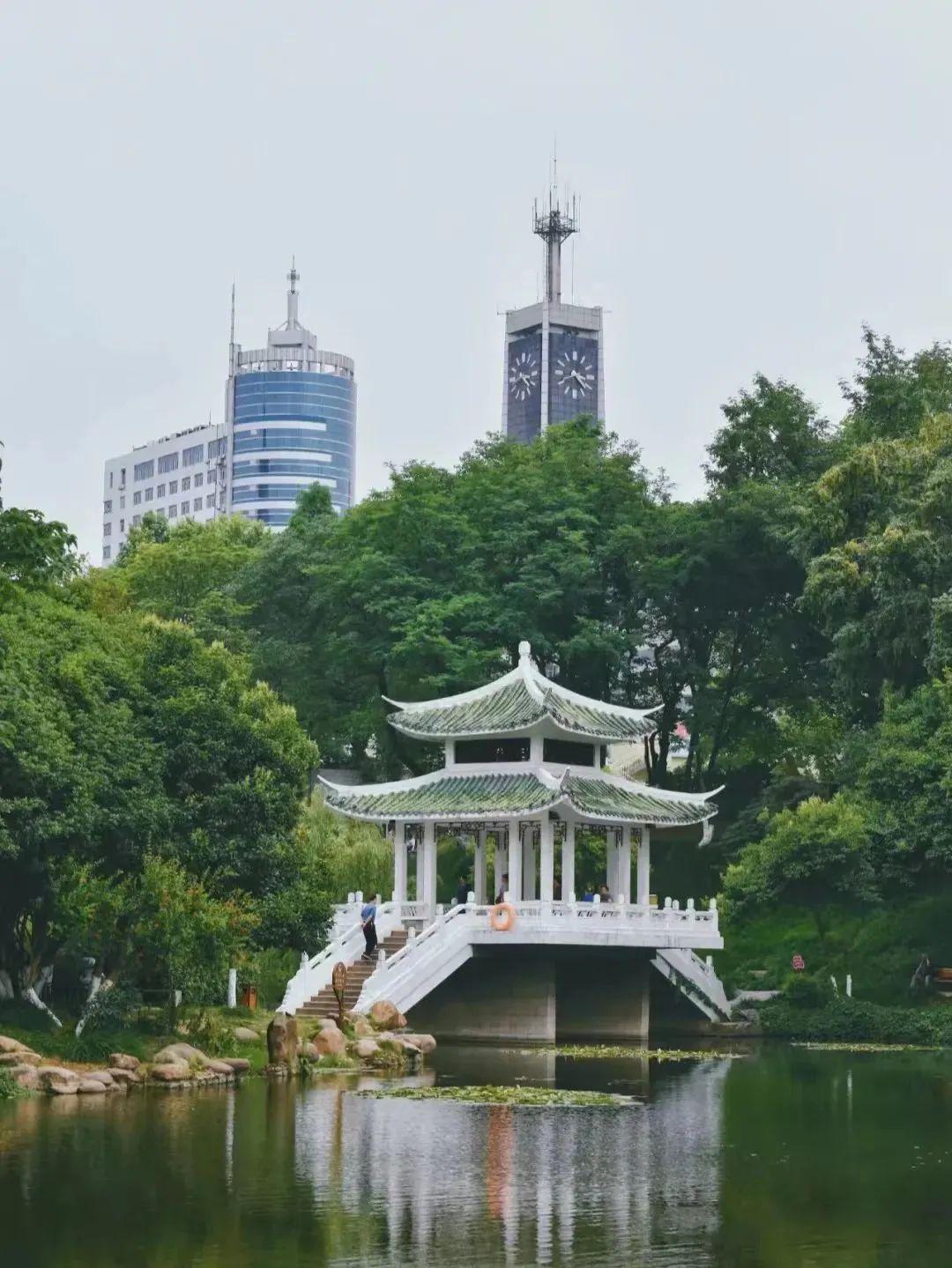 東庵森林公園游玩攻略_tcl怎么安裝騰訊視頻tv版_英語(yǔ)嘉賓怎么說(shuō)