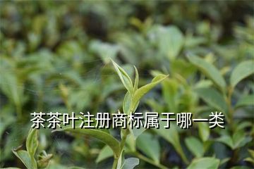 商標(biāo)類別注冊(cè)少了有影響嗎_商標(biāo)的注冊(cè)類別_商標(biāo)類別注冊(cè)錯(cuò)誤會(huì)