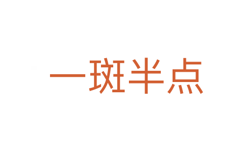 一斑半點(diǎn)