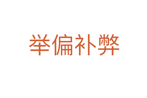 舉偏補(bǔ)弊