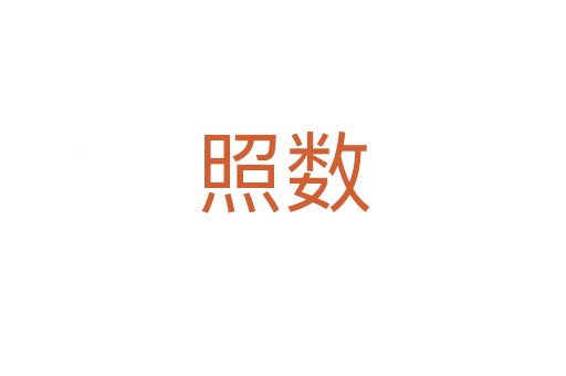 照數(shù)