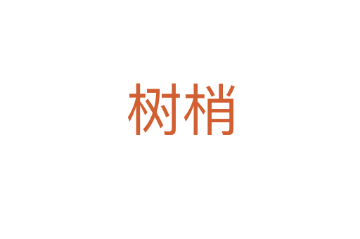 樹(shù)梢