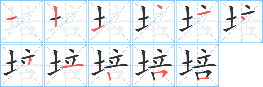 培的筆順分步演示