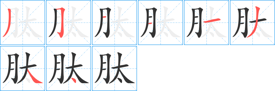 肽的筆順分步演示