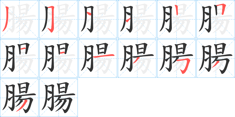 腸的筆順分步演示