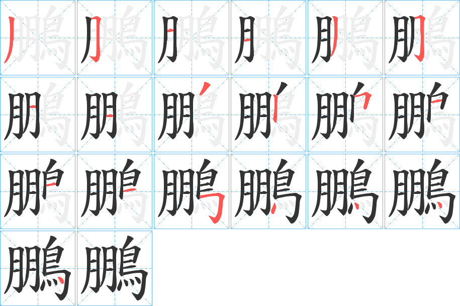 鵬的筆順分步演示