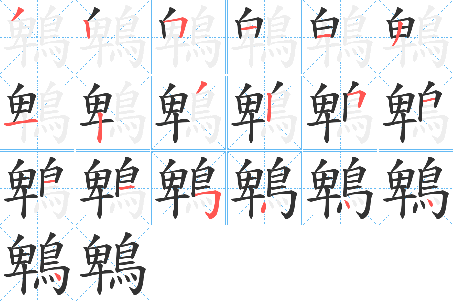 鵯的筆順分步演示